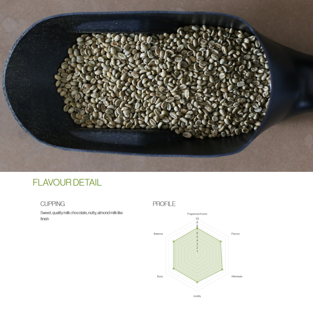 Brazil Sul de Minas - Single Origin Coffee