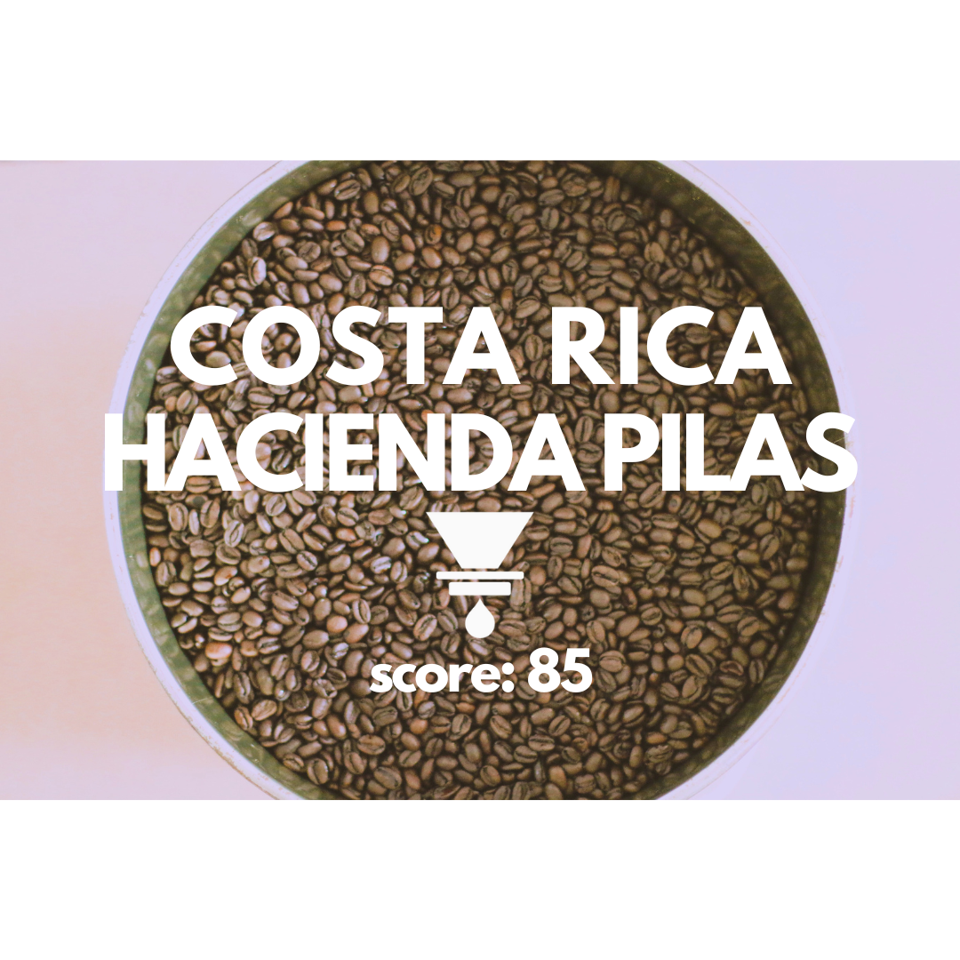 Costa Rica Hacienda Pilas Catuai Washed