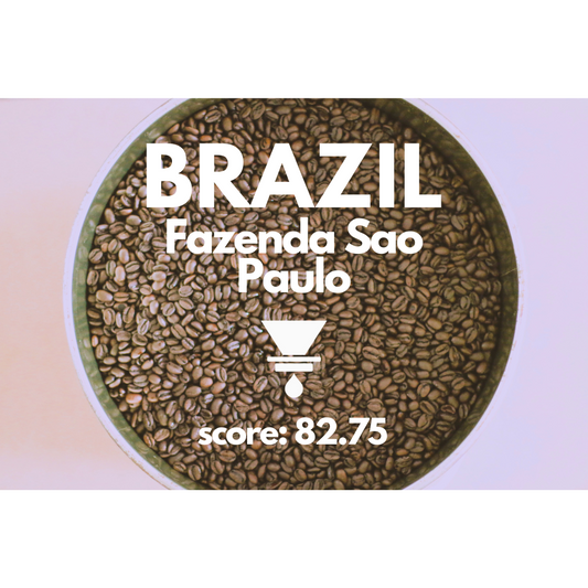 BRAZIL Fazenda Sao Paulo [Montanari]