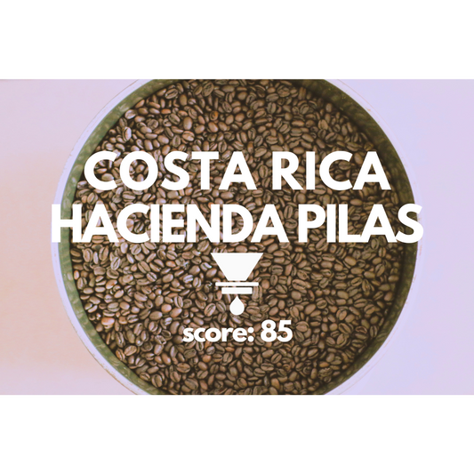 Costa Rica Hacienda Pilas Catuai Washed