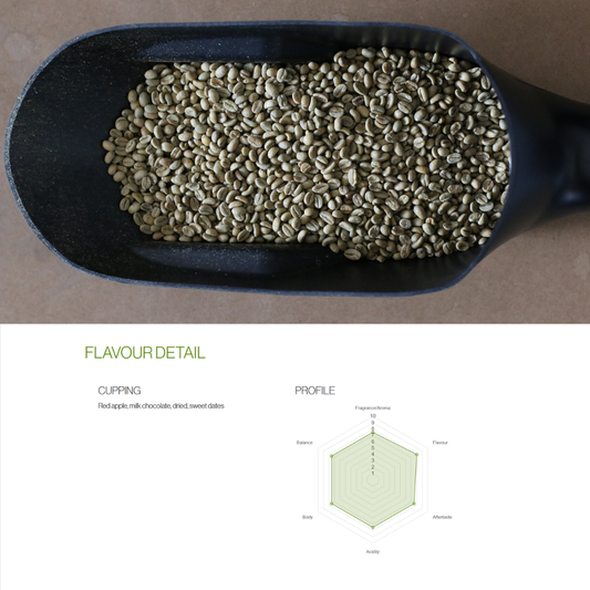Fresh coffee roasted weekly in Sydney delivered to your door