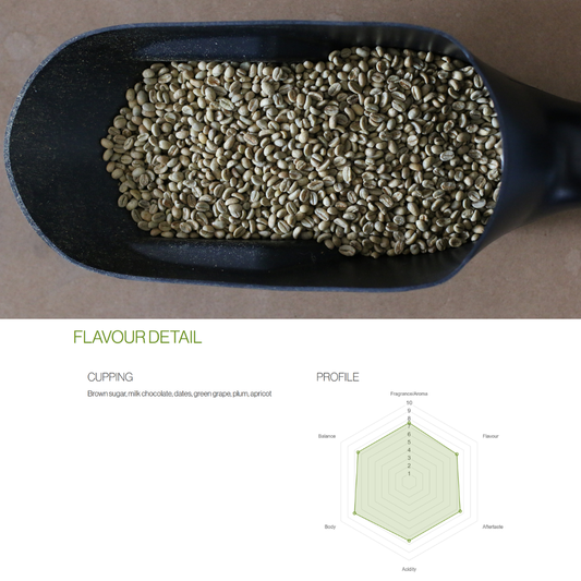 Tanzania Mondul AA -  Single Origin Coffee